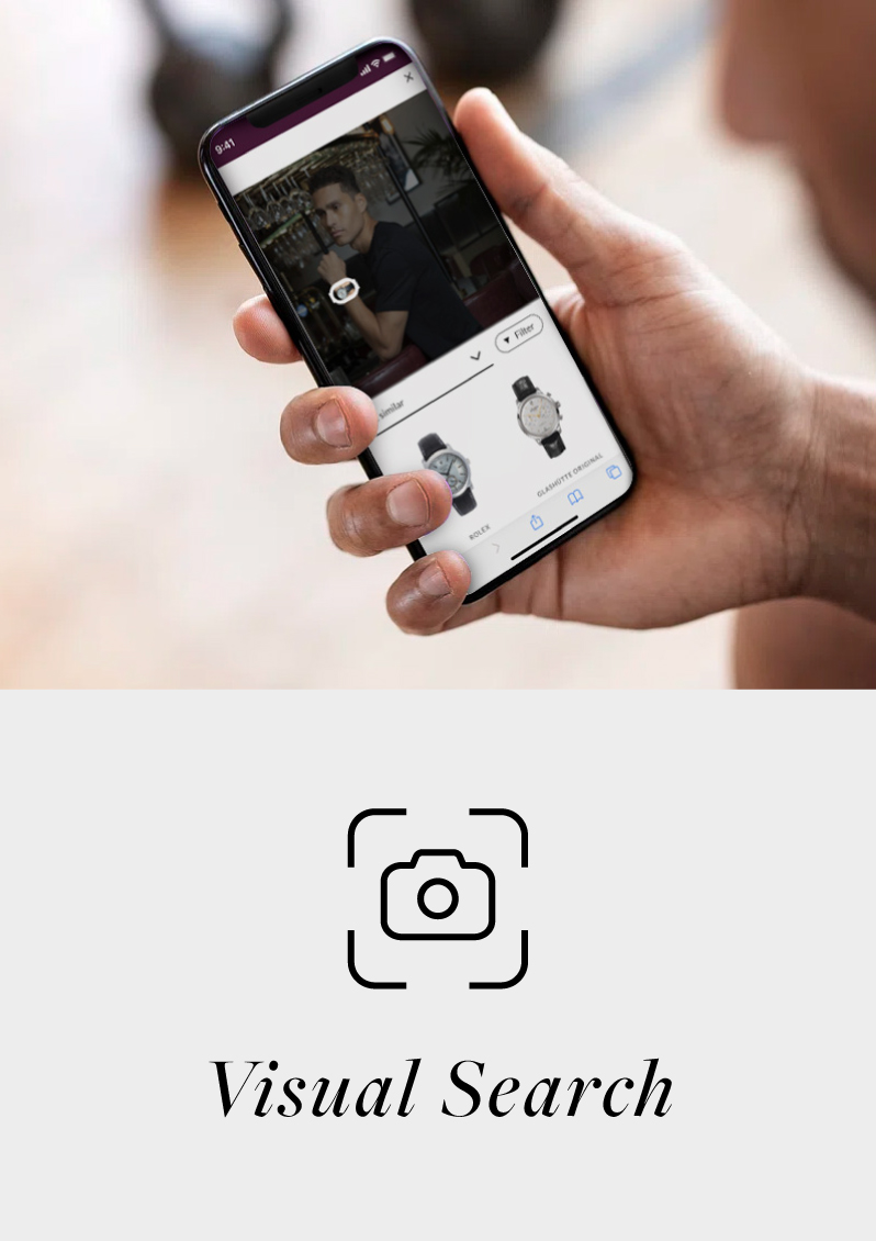 Visual Search
