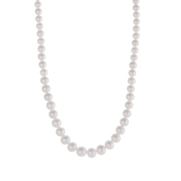 14ct Yellow Gold Freshwater Pearl Necklet