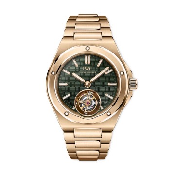 IWC Schaffhausen IIngenieur Tourbillon 41 Watch IW345901