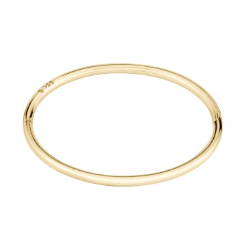 BOSS Live Yellow Gold-Tone Plated Stainless Steel Ladies Bangle 1580686