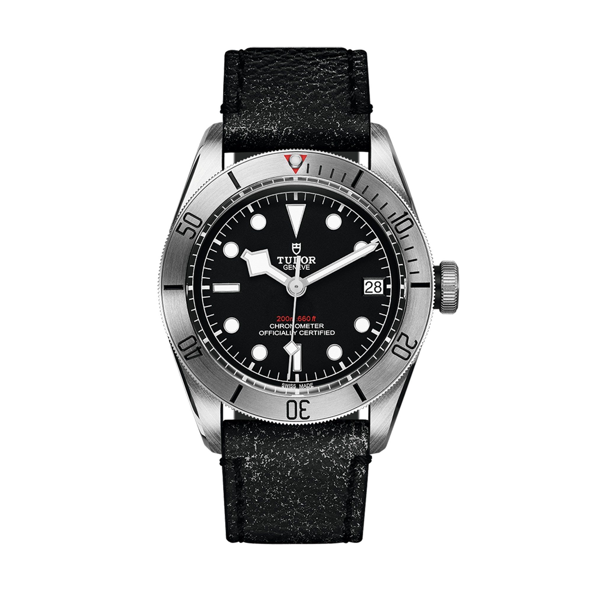 black tudor watch