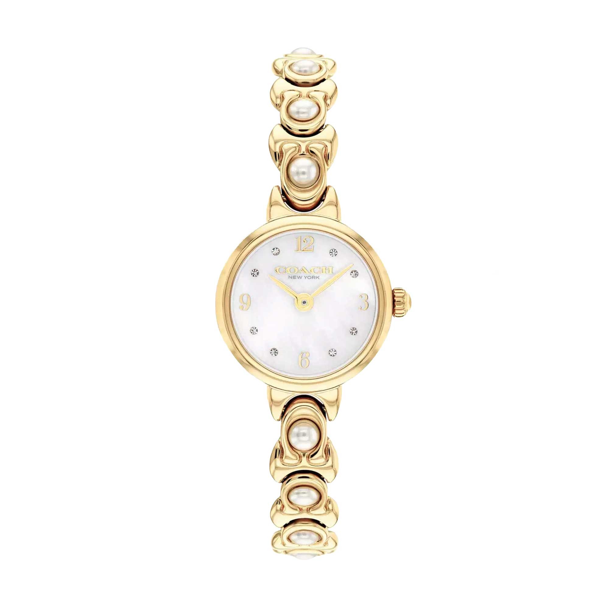 Coach Iris 22mm Watch 14504699