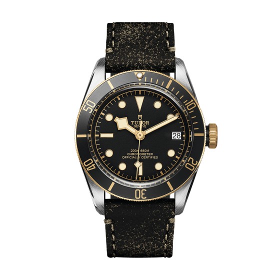 TUDOR Black Bay S&G 41mm Mens Watch M79733N-0007