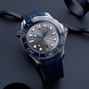 OMEGA Seamaster Diver 300M Co-Axial Master Chronometer 42mm Mens Watch 210.32.42.20.06.001