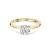 18ct Yellow Gold Round Brilliant 1.00ct Diamond Tulip Set Solitaire Ring