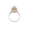 18ct 2 Colour Gold Pear Cut 3.55ct Diamond Halo Ring