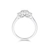 Platinum Brilliant Cut 0.75ct Diamond Three Stone Ring 3