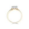 18ct Yellow Gold Brilliant Cut 0.75ct Diamond Cluster Ring