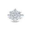 18ct White Gold Brilliant Cut 3.45ct Diamond Flower Cluster Ring