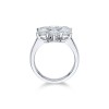 18ct White Gold Brilliant Cut 3.45ct Diamond Flower Cluster Ring