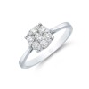 9ct White Gold Brilliant Cut 0.25ct Diamond Cluster Ring