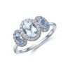 9ct White Gold 0.23ct Diamond and 1.11ct Aquamarine Ring