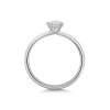 Platinum Round Brilliant 0.33ct Compass Set Diamond Solitaire Ring