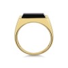 9ct Yellow Gold Rectangle Mens Signet Ring