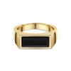 9ct Yellow Gold Rectangle Mens Signet Ring