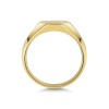 9ct Yellow Gold Gents Signet Ring