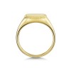 9ct Yellow Gold Twisted Rope Square Mens Signet Ring