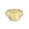 9ct Yellow Gold Twisted Rope Square Mens Signet Ring