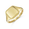 9ct Yellow Gold Twisted Rope Square Mens Signet Ring