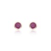 9ct Yellow Gold Ruby Rubover Stud Earrings