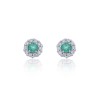 9ct White Gold Diamond 0.17ct and Emerald Halo Earrings