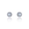 9ct White Gold Diamond 0.17ct and Aquamarine Halo Earrings