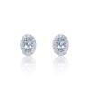 9ct White Gold Diamond 0.23ct and Aquamarine Halo Earrings