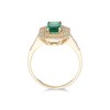 9ct Yellow Gold Emerald Cut Coloured Cubic Zirconia Double Halo Solitaire Ring