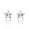 9ct White Gold Star Stud Earrings