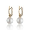 9ct Yellow Gold Freshwater Pearl Drop Earrings
