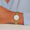Longines La Grande Classique De Longines 24mm Quartz Ladies Watch L42092117