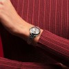Omega Seamaster Aqua Terra 150M 30mm Watch 220.10.30.20.09.001
