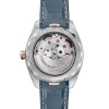 OMEGA SeaMaster Aqua Terra 41mm Mens Watch 220.22.41.21.03.001