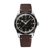 OMEGA Seamaster 300 Co-Axial Master Chronometer 41mm Mens Watch 234.32.41.21.01.001