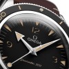 OMEGA Seamaster 300 Co-Axial Master Chronometer 41mm Mens Watch 234.32.41.21.01.001
