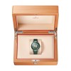OMEGA Seamaster Aqua Terra Worldtimer Mens Watch 220.32.43.22.10.001
