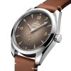 OMEGA Seamaster Railmaster 38mm Self-Winding Watch 235.12.38.20.13.001