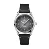 OMEGA Seamaster Railmaster 38mm Master Chronometer Watch 235.12.38.20.06.001