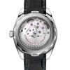 Omega Seamaster Aqua Terra 41mm Watch 220.32.41.21.03.001