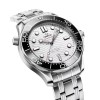 OMEGA Seamaster Diver 300M Co-Axial 42mm Mens Watch 210.30.42.20.04.001