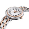Tissot Bellissima Small Lady Ladies Watch T126.010.22.013.01