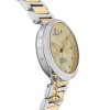 Vivienne Westwood Ladies Poplar Watch VV246CPSG