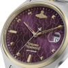 Vivienne Westwood Camberwell Ladies Watch VV261BYSG