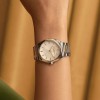 Olivia Burton Lustre 34mm Ladies Watch 24000203
