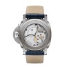 Panerai Luminor Equation of Time 47mm Titanium Watch PAM00670