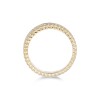 Yellow Gold Plated Double Row Ring