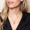 Yellow Gold Plated Apple Pendant