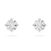 Swarovski Attract Crystal Round Stud Earrings 5408436
