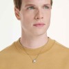 Swarovski Idyllia Crystal Heart with Arrow Necklace 5737291