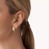 Michael Kors Ladies Premium Earrings MKC1553AN710